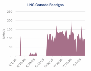 Burner Tip LNG Canada Feedgas